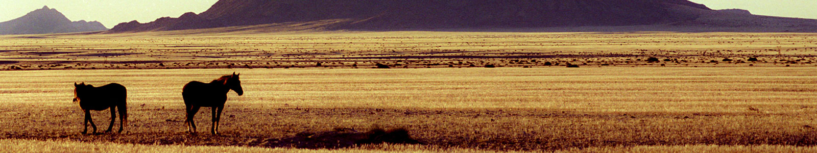 Kolmanskop, Garub et le Klein Aus Vista Ranch