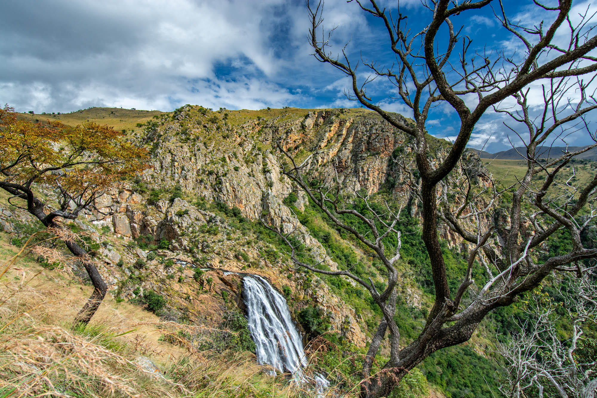 Du Swaziland à Johannesburg