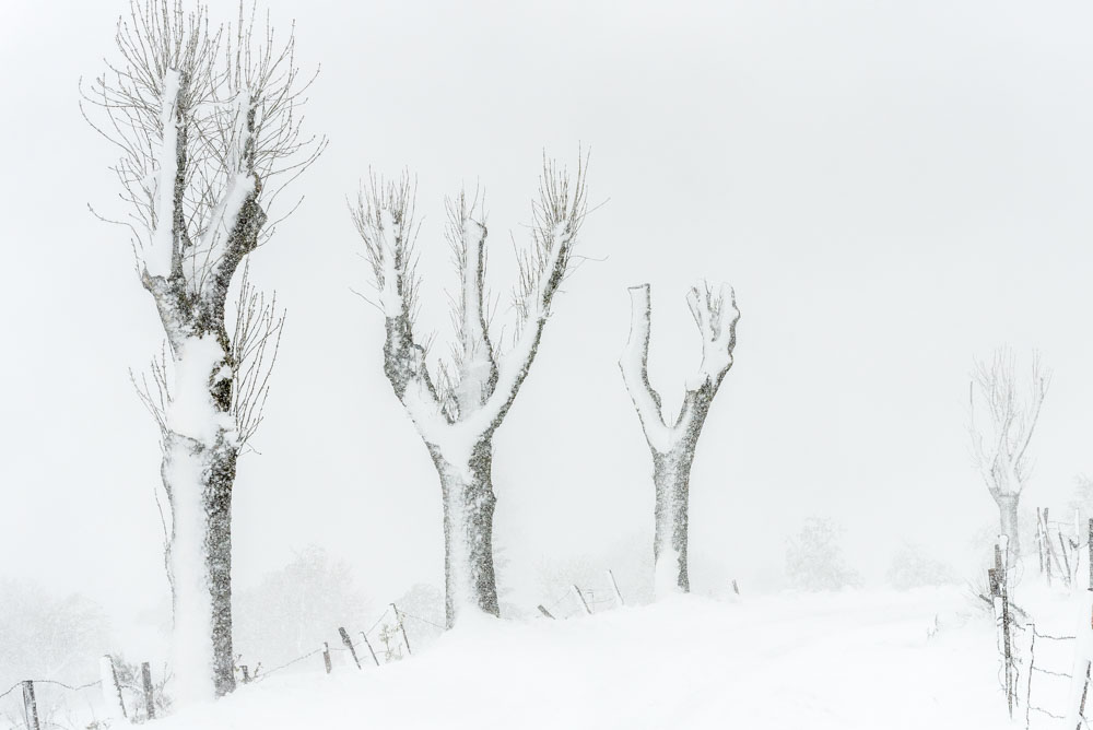 3 silhouettes dans la neige