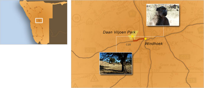 Carte de Windhoek à Daan Viljoen Park