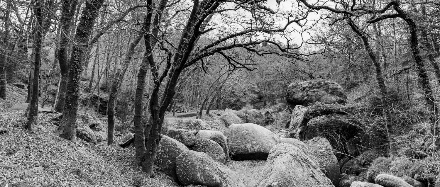 Forêt du Huelgoat