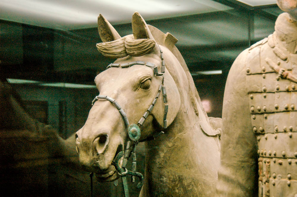 Un cheval et son harnachement de bronze