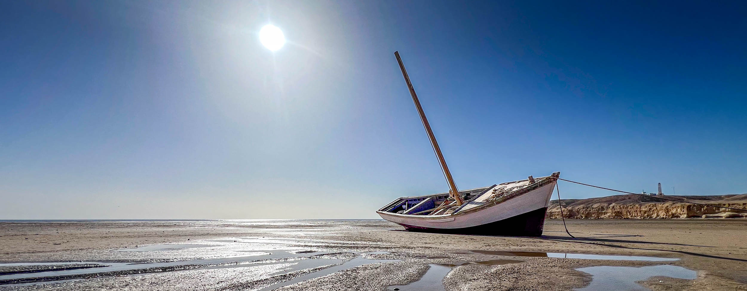 Le Banc d’Arguin