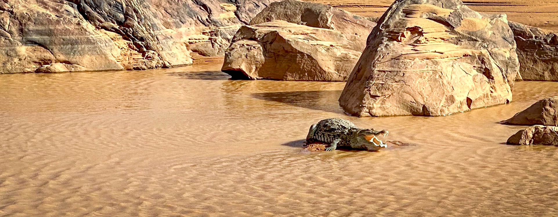 Les gueltas aux crocodiles